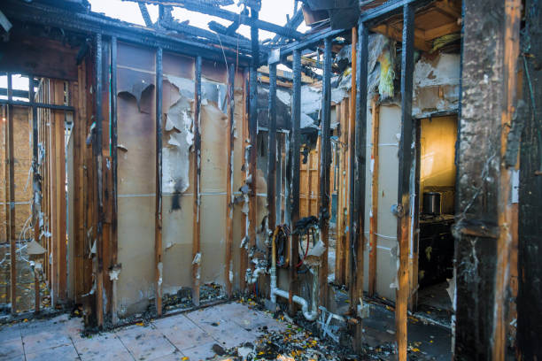 Professional Smoke Damage Removal technician working in Ambler, PA